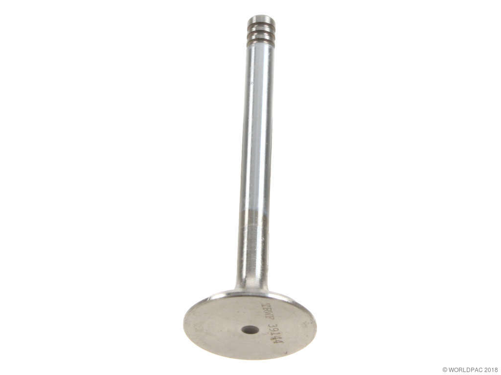 1986-1992 Volkswagen Golf Engine Intake Valve (AE)