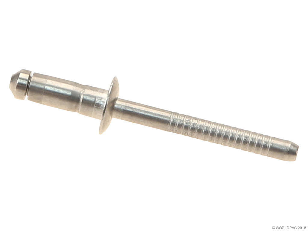 1996-2001 Audi A4 Window Regulator Rivet -  or Rear (Genuine)