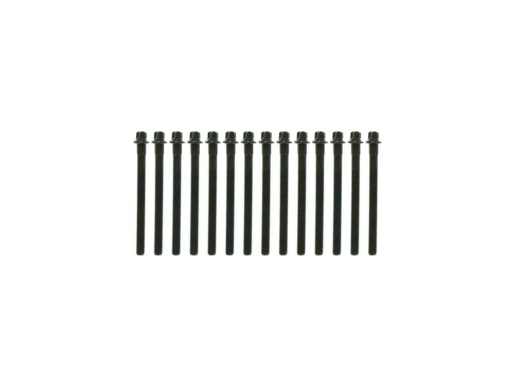 2004-2006 BMW X3 Engine Cylinder Head Bolt Set (Mahle)