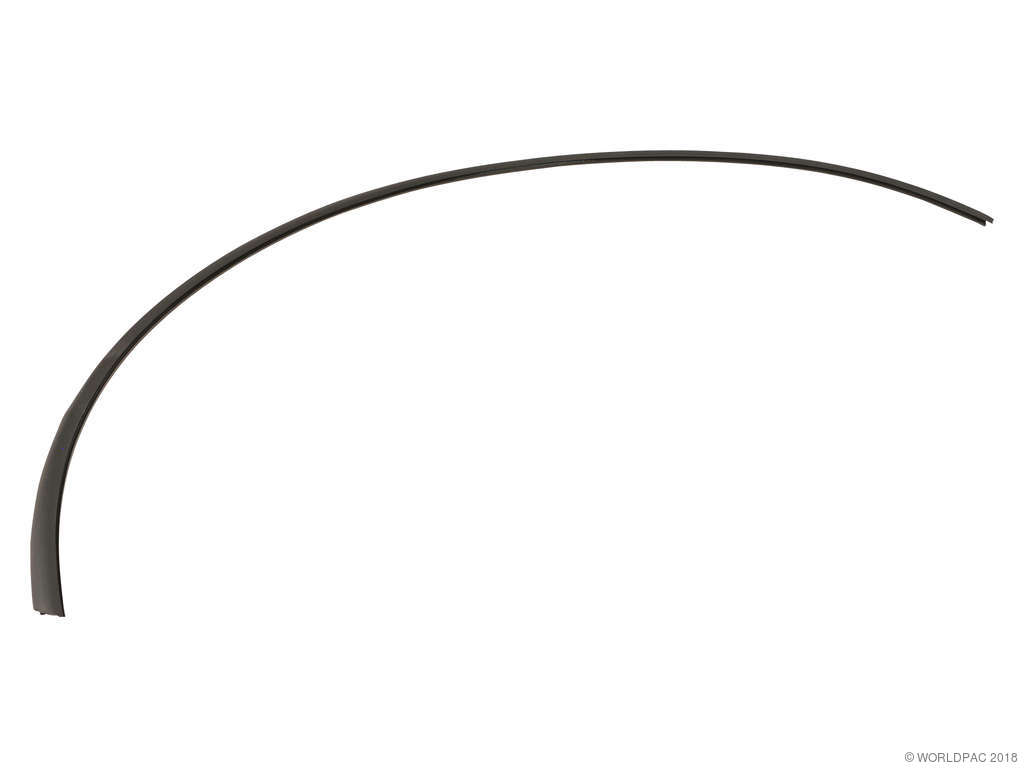 1997-2000 BMW 528i Side Window Seal (Genuine)