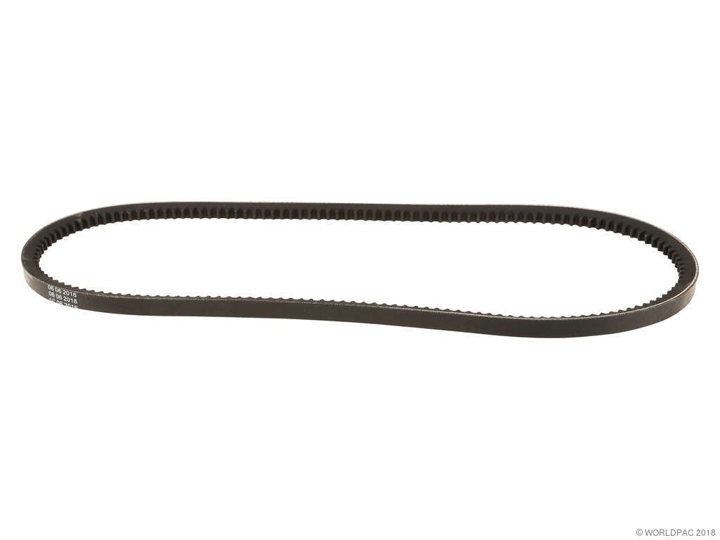 1981-1984 Volkswagen Jetta Accessory Drive Belt - Air Compressor (ContiTech)