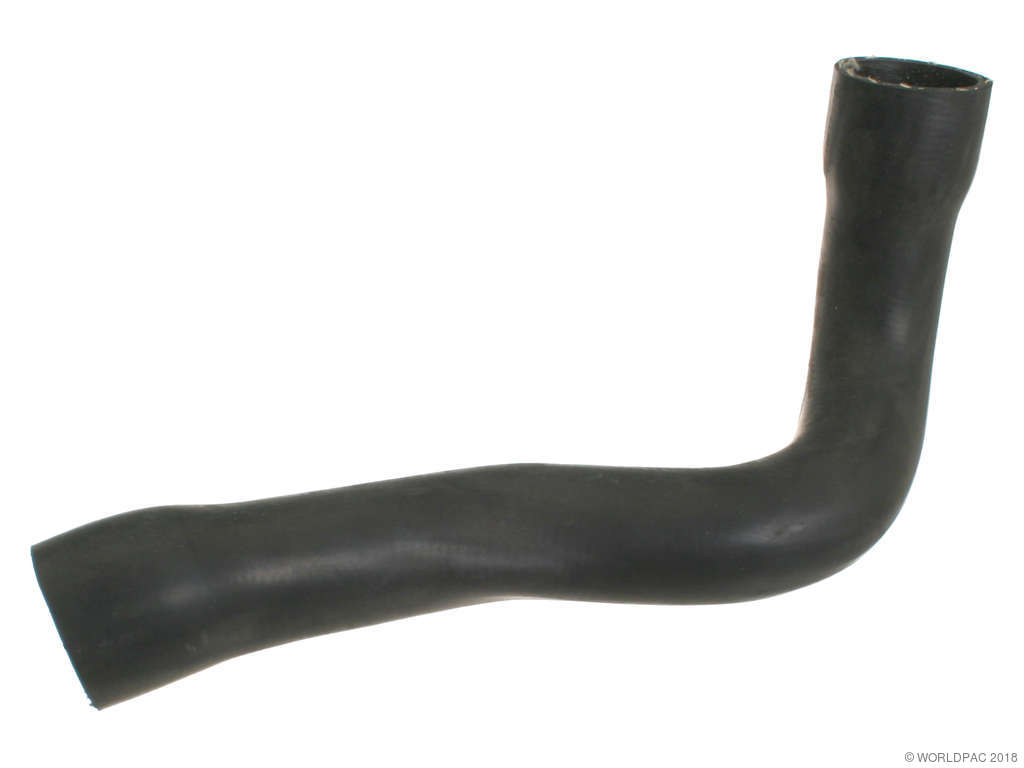 1997-2000 BMW Z3 Radiator Coolant Hose - Lower (Rein)