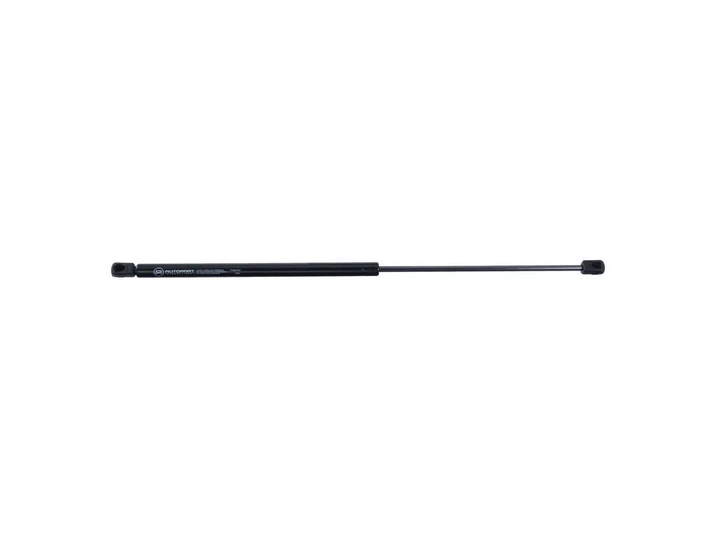 1998-2010 Volkswagen Beetle Liftgate Lift Support (Autopart International)