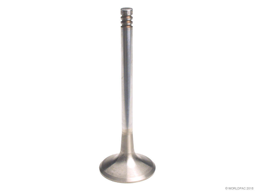 1989-1990 BMW 525i Engine Exhaust Valve (TRW)