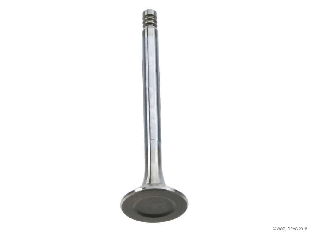 1980-1983 Volkswagen Vanagon Engine Exhaust Valve (TRW)