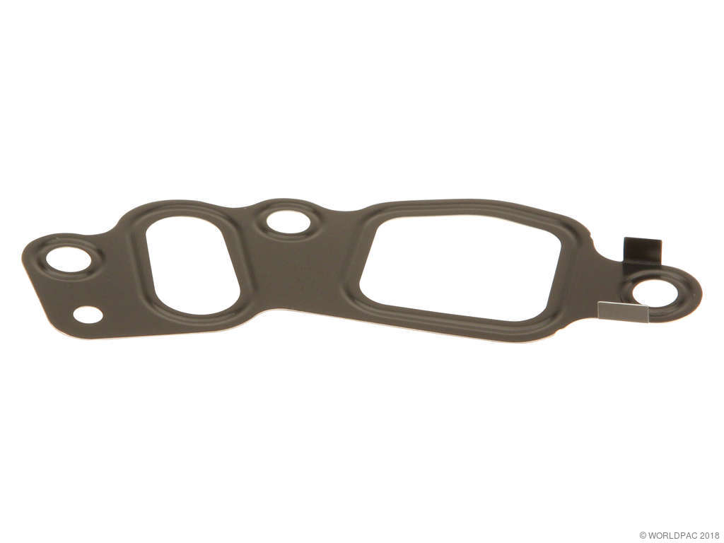 2003-2005 Audi Allroad Quattro Engine Timing Cover Gasket - Left Lower (Genuine)