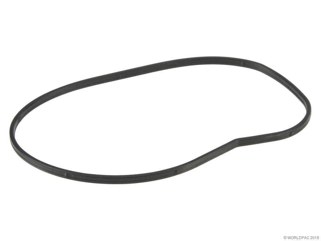 2004-2005 BMW 545i Engine Water Pump Gasket (Victor Reinz)