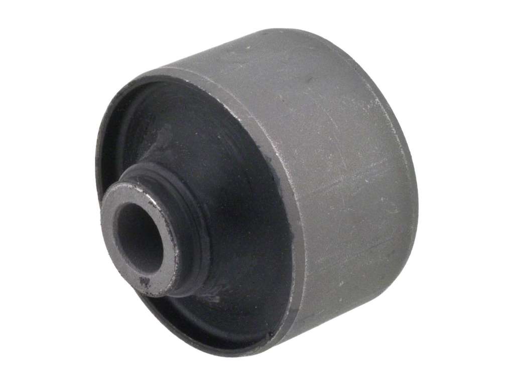 2000-2006 Hyundai Accent Suspension Control Arm Bushing - Front Lower Rearward (Moog)