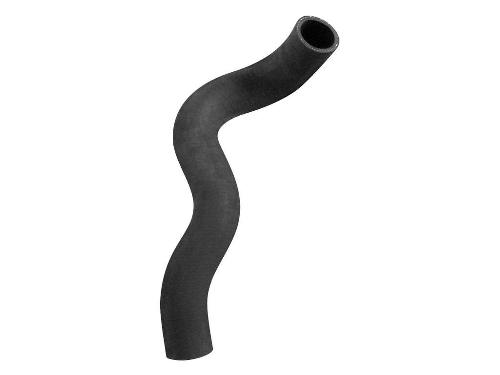 2009-2014 Nissan Cube Radiator Coolant Hose - Lower (Dayco)
