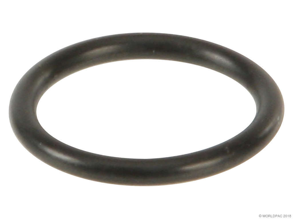 2002-2003 Audi S6 Engine Coolant Pipe O-Ring (Victor Reinz)