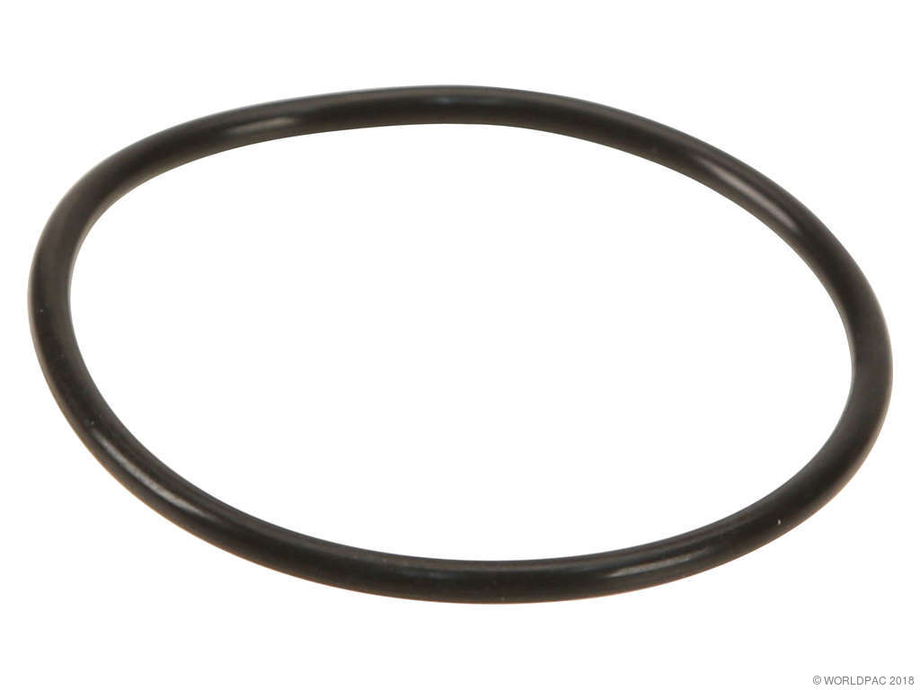 2011-2012 BMW X3 Fuel Pump Gasket (Genuine)