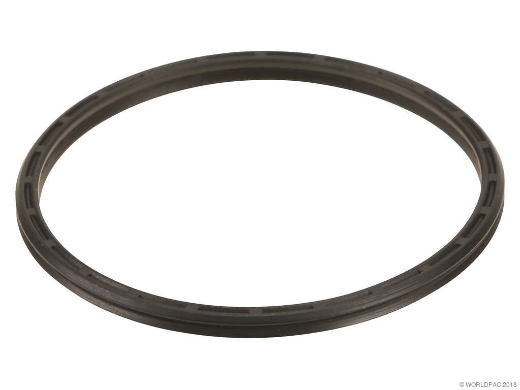 2008-2018 BMW X6 Intercooler Gasket (Genuine)