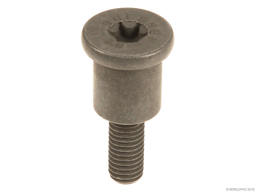 2004-2005 BMW 545i Engine Timing Chain Guide Bolt (Genuine)