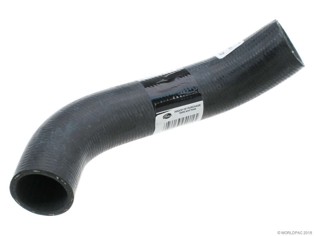 2004-2006 Subaru Baja Radiator Coolant Hose - Lower (Gates)