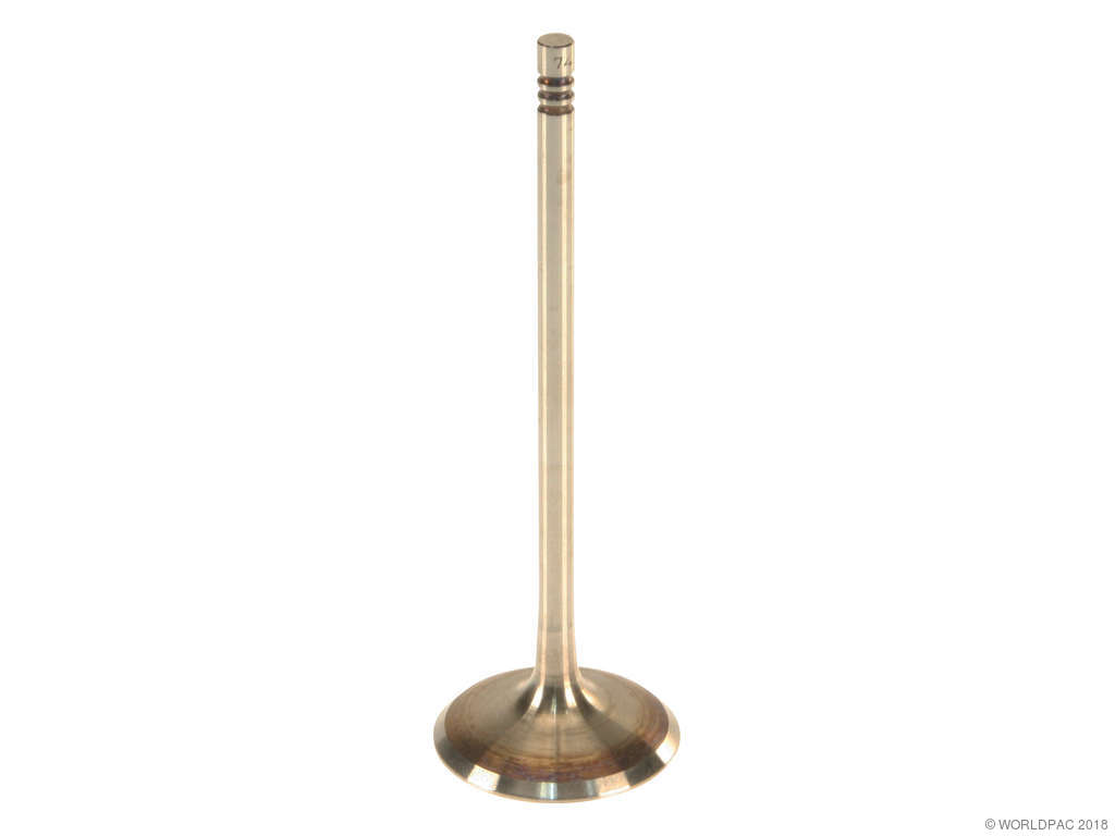 2008-2011 BMW 528i Engine Intake Valve (TRW)