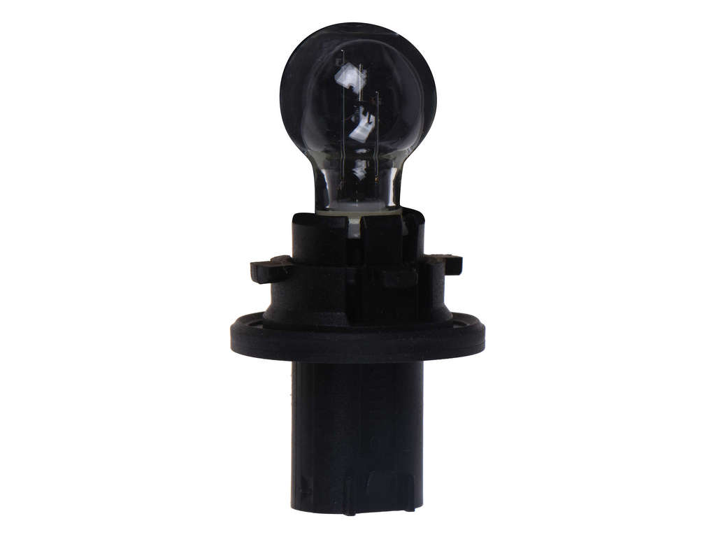 2007-2010 Saturn Outlook Back Up Light Bulb (Autopart International)