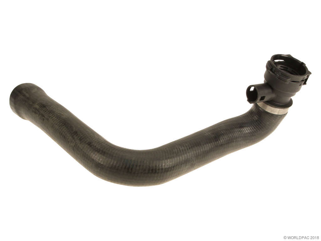 2000-2003 BMW M5 Radiator Coolant Hose - Lower (Genuine)