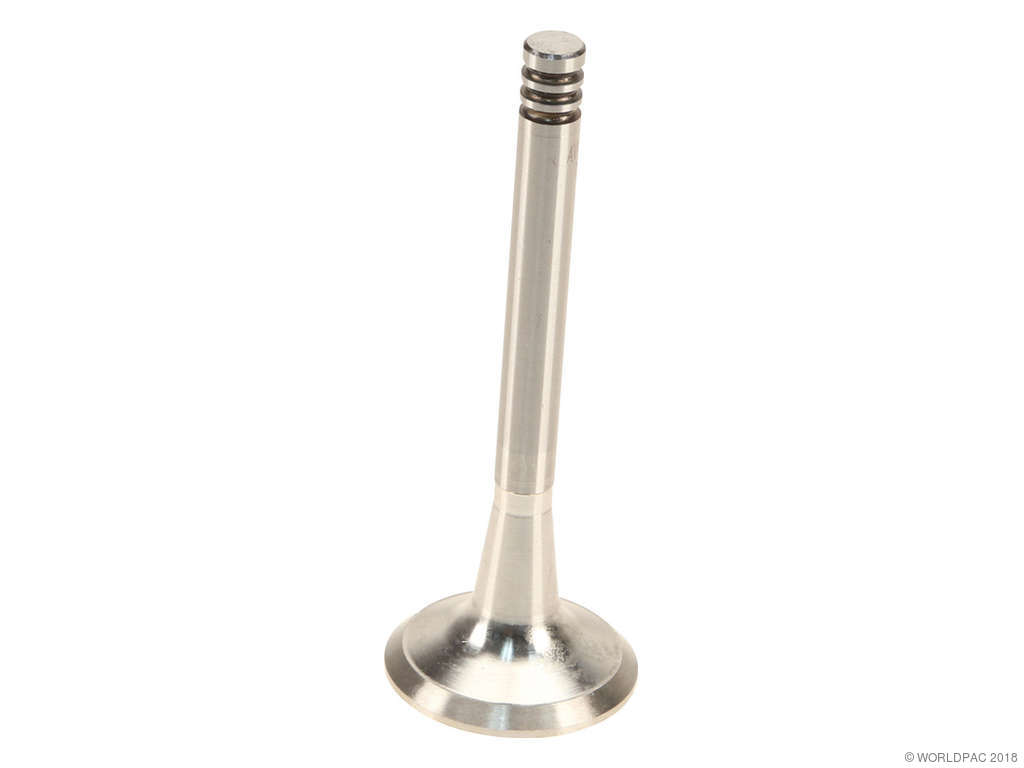 1995 Audi A6 Engine Exhaust Valve (AE)