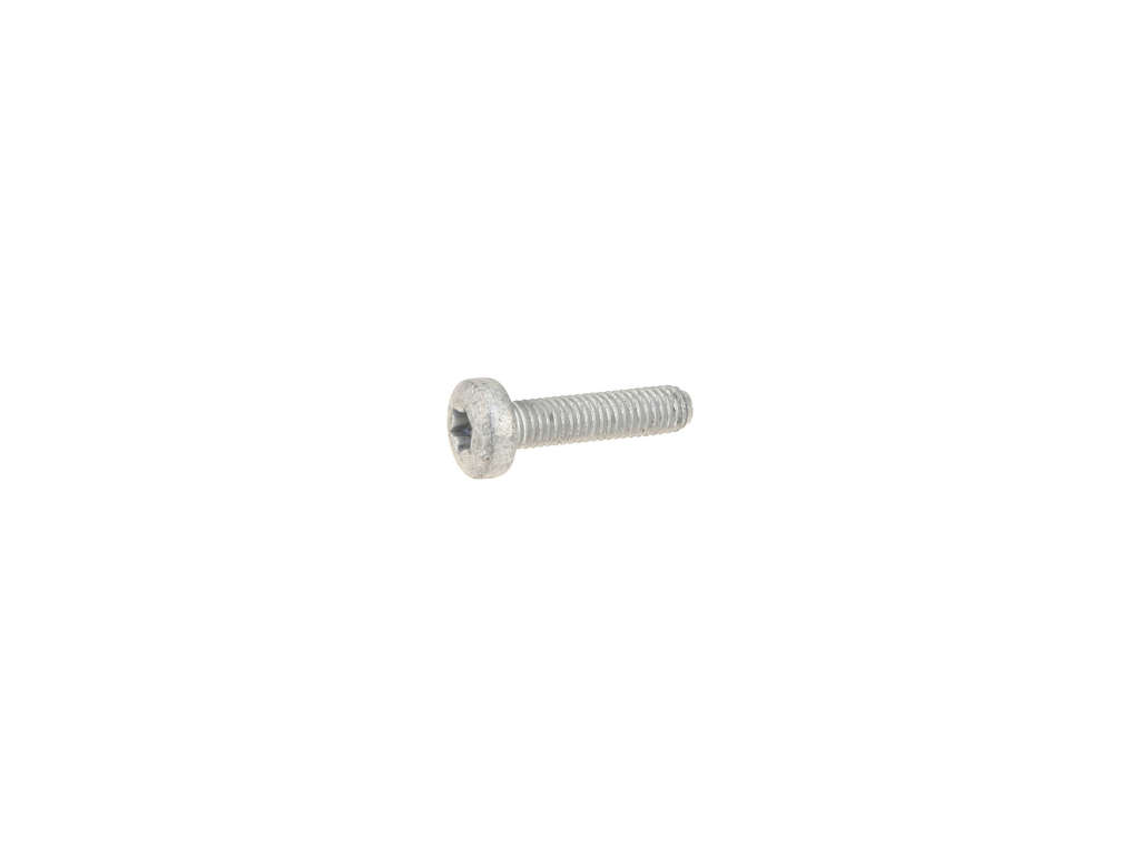 2011-2017 Porsche Cayenne Engine Water Pump Bolt (Genuine)