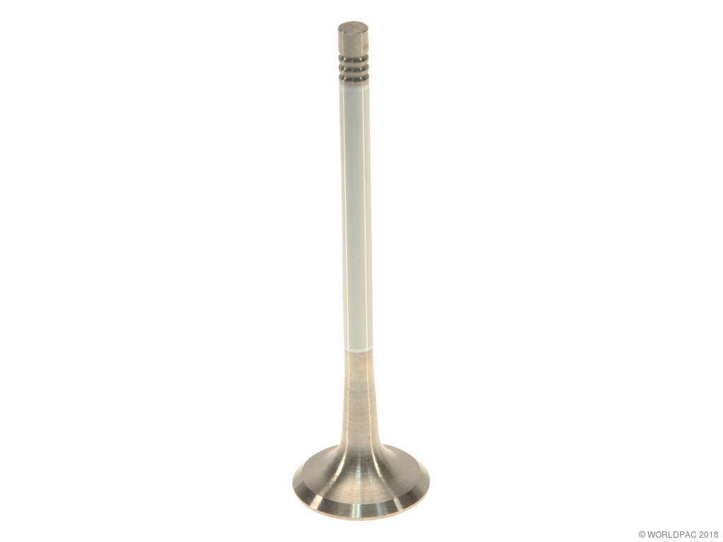 2006-2015 Audi A6 Engine Exhaust Valve (TRW)