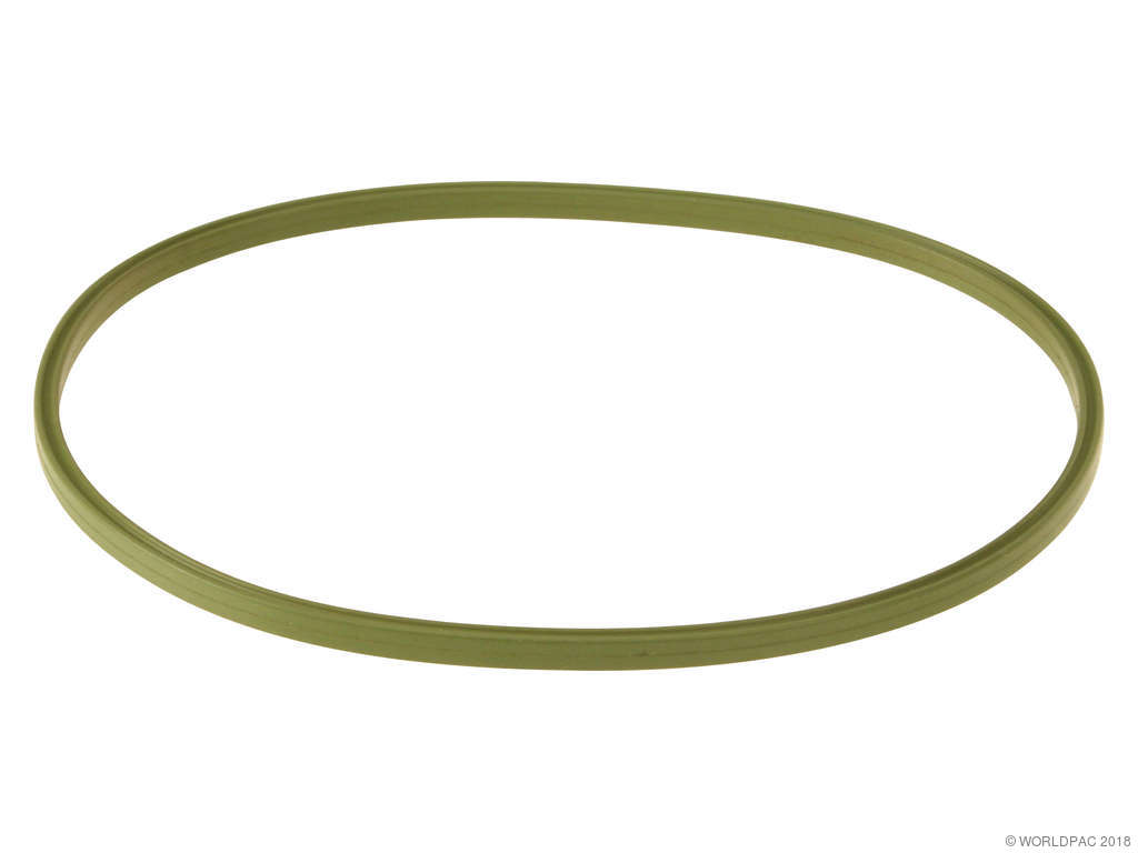 2004-2010 INFINITI QX56 Fuel Tank Sending Unit Gasket (Genuine)