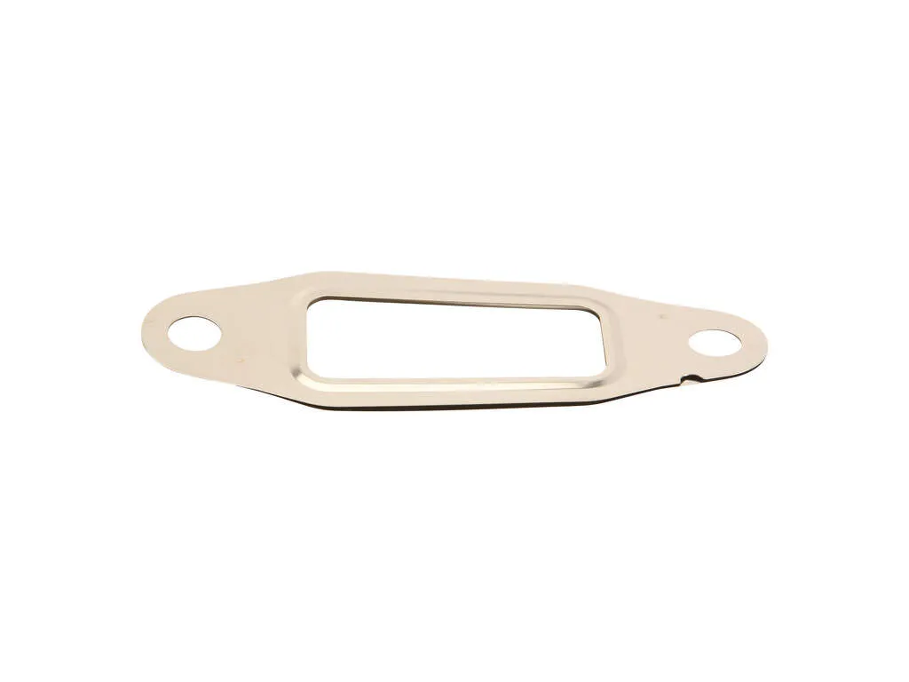 2006-2010 Chevrolet Express 3500 Exhaust Gas Recirculation (EGR) Valve Gasket (Mahle)