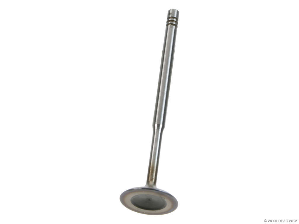 1998-2004 Audi A6 Engine Intake Valve (AE)