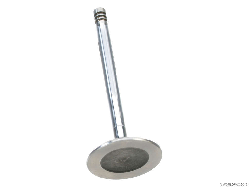 1976-1989 Volvo 244 Engine Intake Valve (AE)