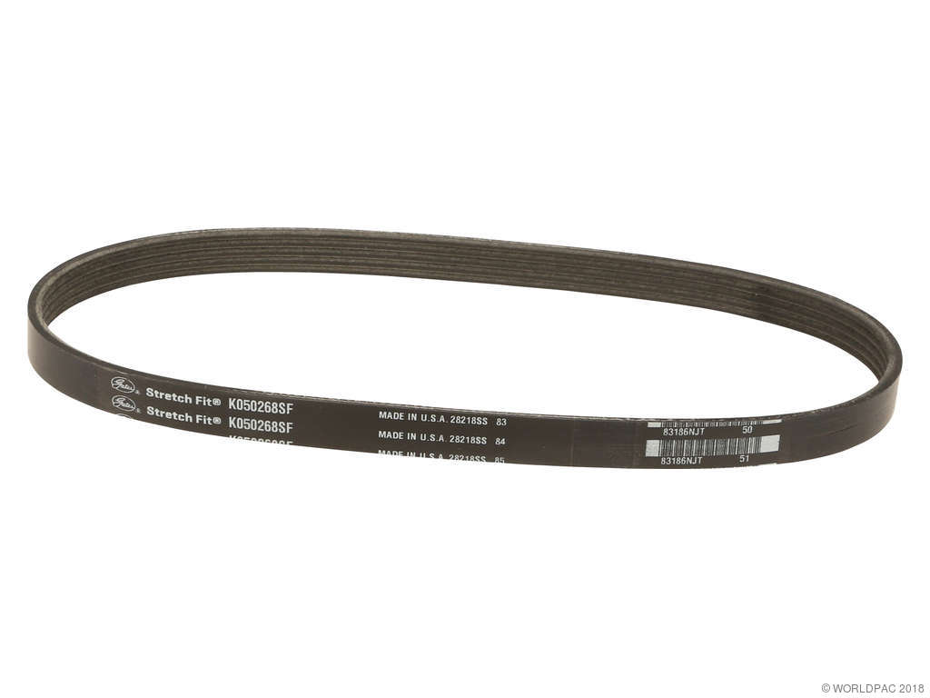 2012-2014 Ford Focus Accessory Drive Belt -  or Air Conditioning (Gates)