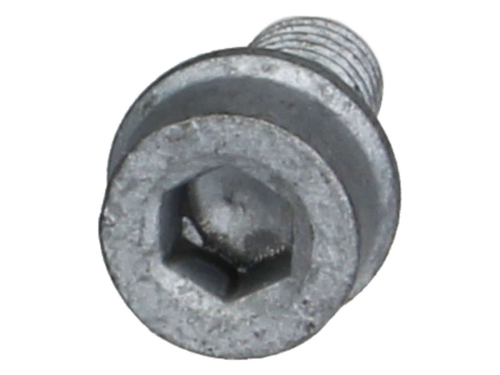 2002-2006 Audi A4 Engine Harmonic Balancer Bolt (Rein)