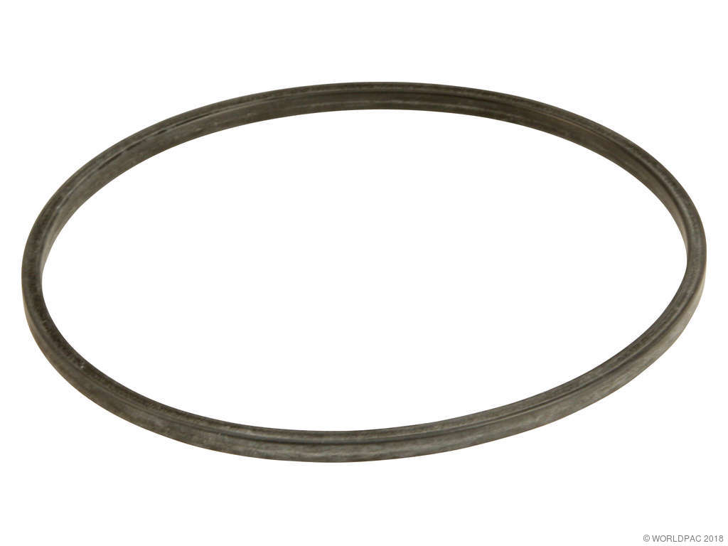 2000-2005 Chevrolet Cavalier Fuel Pump Tank Seal (ACDelco)