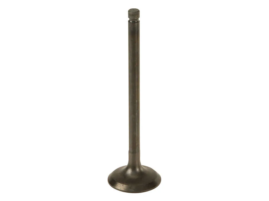 1990-2001 Acura Integra Engine Intake Valve (Nakamura)