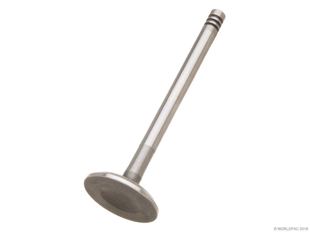 1966-1971 Volkswagen Transporter Engine Intake Valve (TRW)