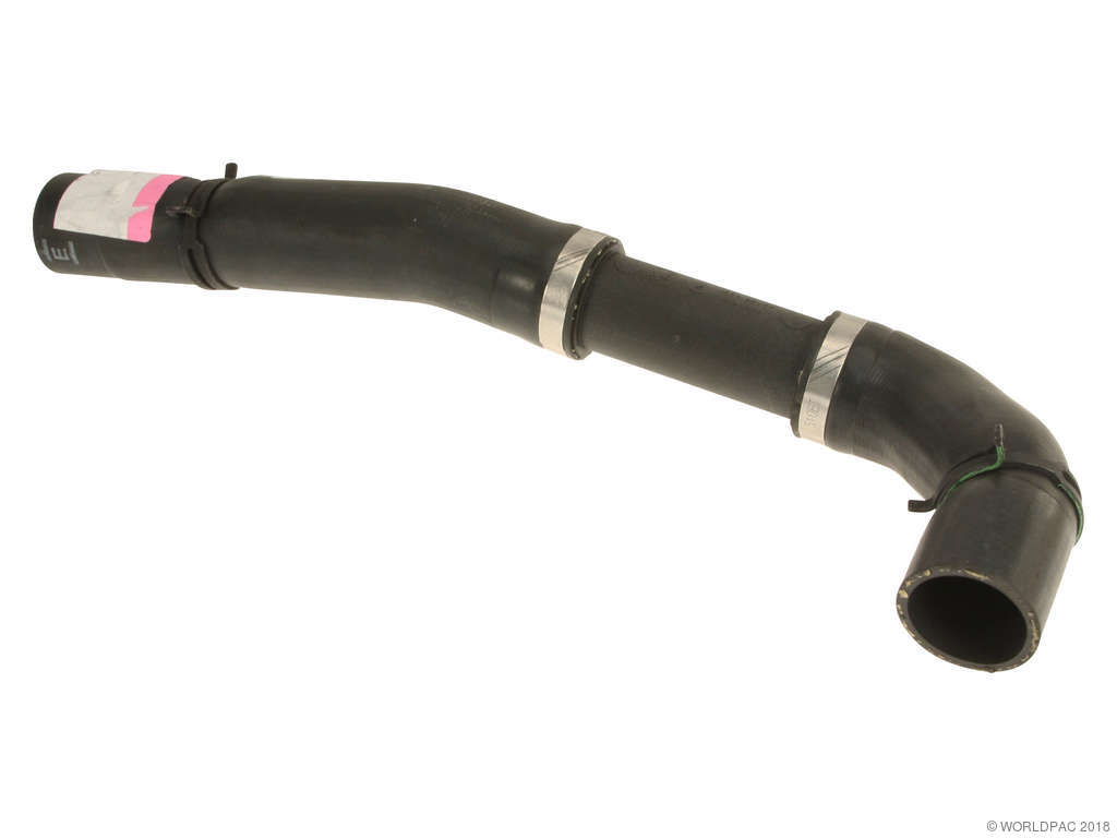 2006-2009 Jaguar XJ8 Radiator Coolant Hose - Lower (Genuine)