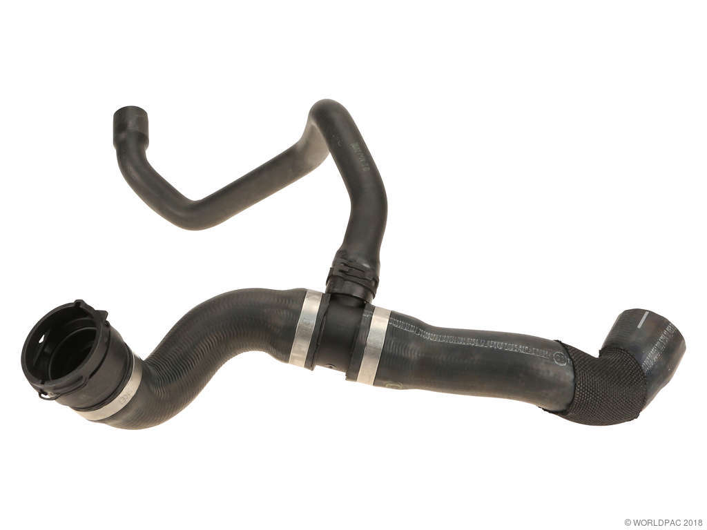 2003-2006 Mercedes-Benz S55 AMG Radiator Coolant Hose - Lower (Genuine)