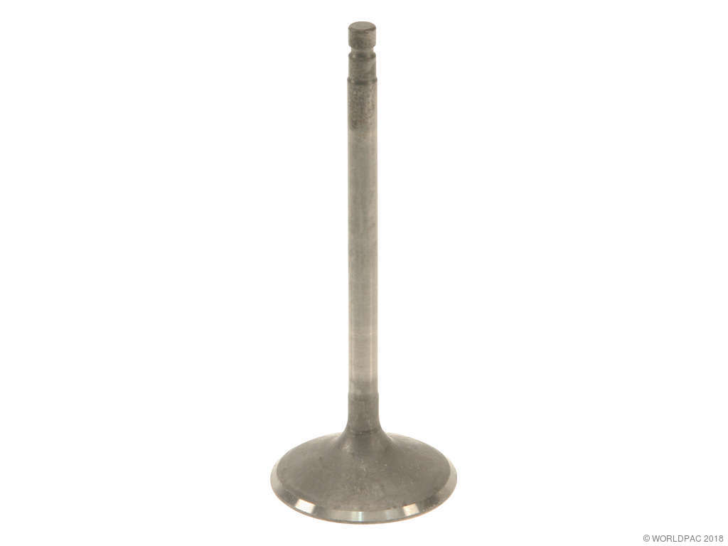 2003-2007 Nissan Murano Engine Intake Valve (Genuine)