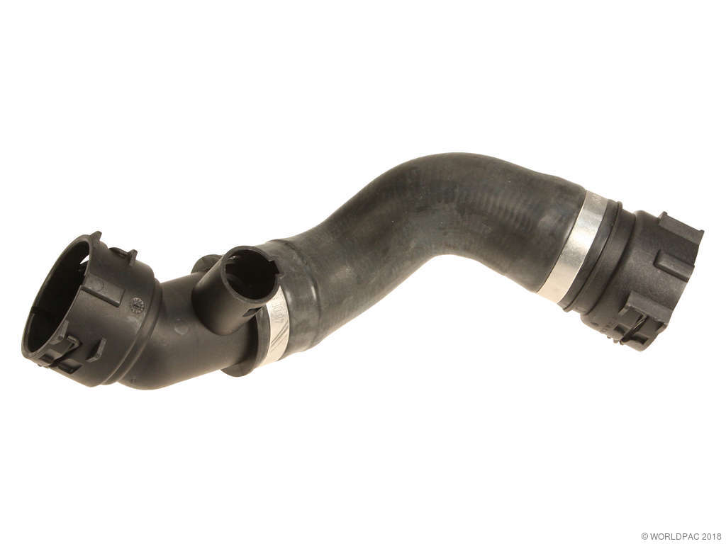 2006-2008 BMW Z4 Radiator Coolant Hose - Lower (Genuine)