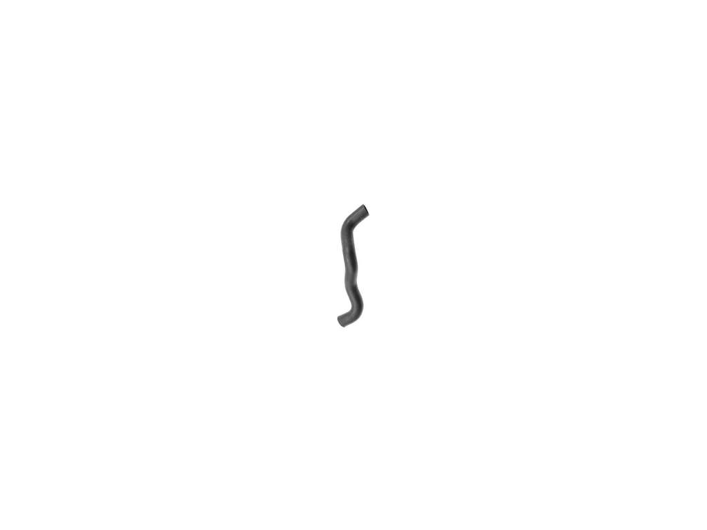 1991-1996 INFINITI G20 Radiator Coolant Hose - Lower (Dayco)