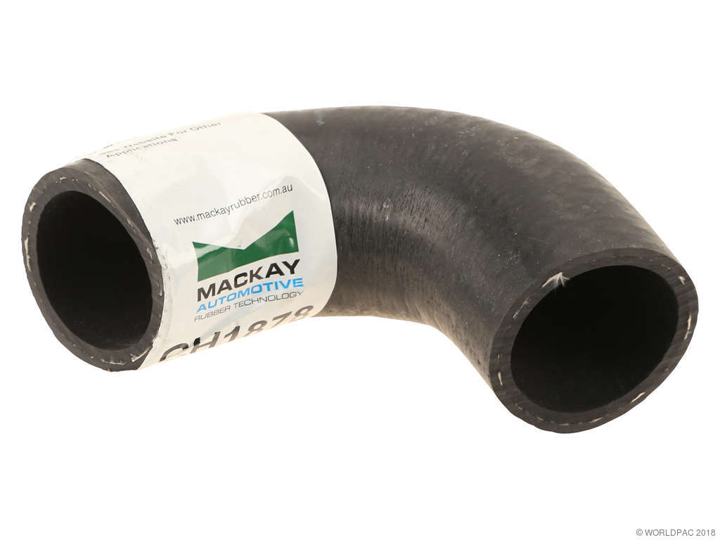 1979-1981 BMW 528i Engine Coolant Hose (MacKay)