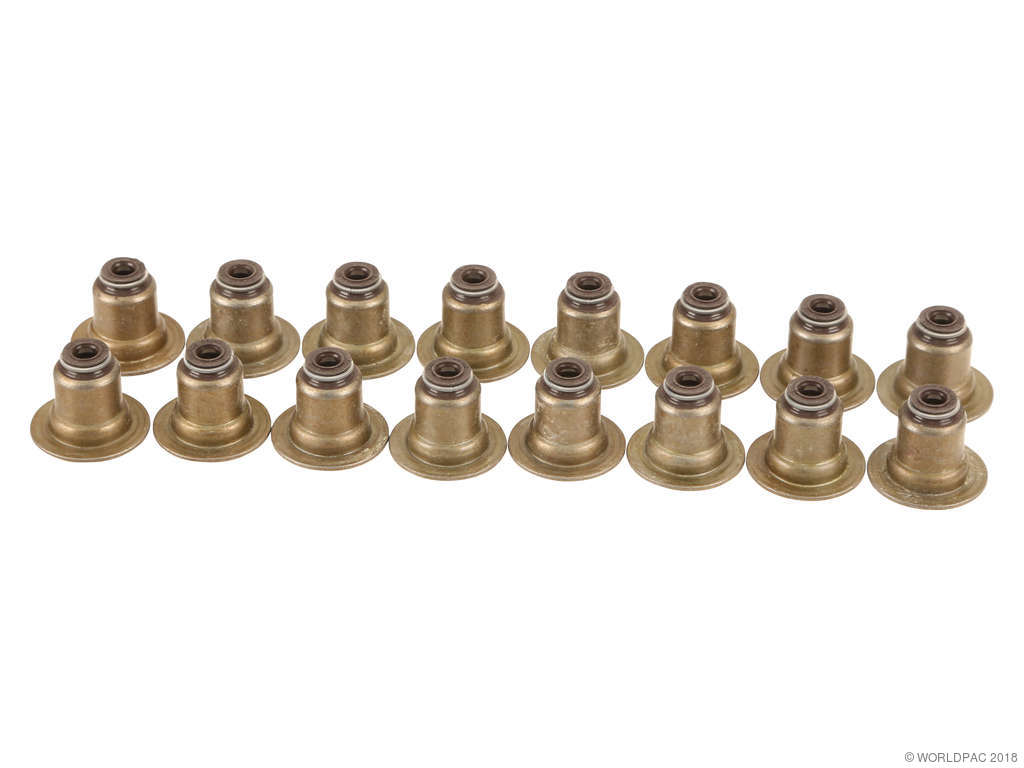 2009-2015 Mini Cooper Engine Valve Stem Oil Seal (Victor Reinz)