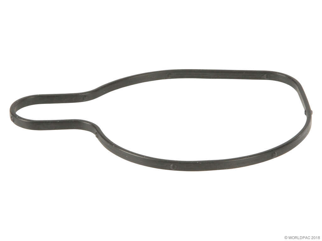2004-2005 Audi Allroad Quattro Engine Water Pump Gasket (Genuine)