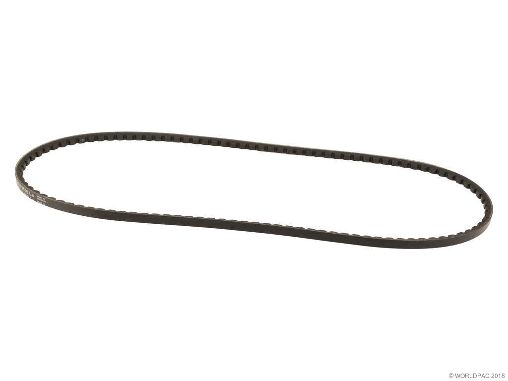 1985-1986 Plymouth Horizon Accessory Drive Belt - Power Steering (ContiTech)