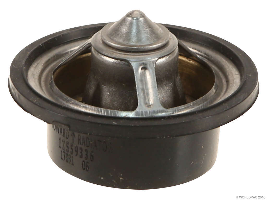 1996-2002 Chevrolet Express 2500 Engine Coolant Thermostat (ACDelco)