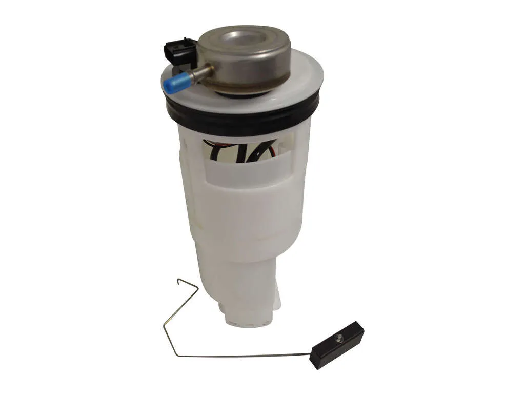 2002-2003 Dodge Ram 1500 Fuel Pump Module Assembly (Autopart International)