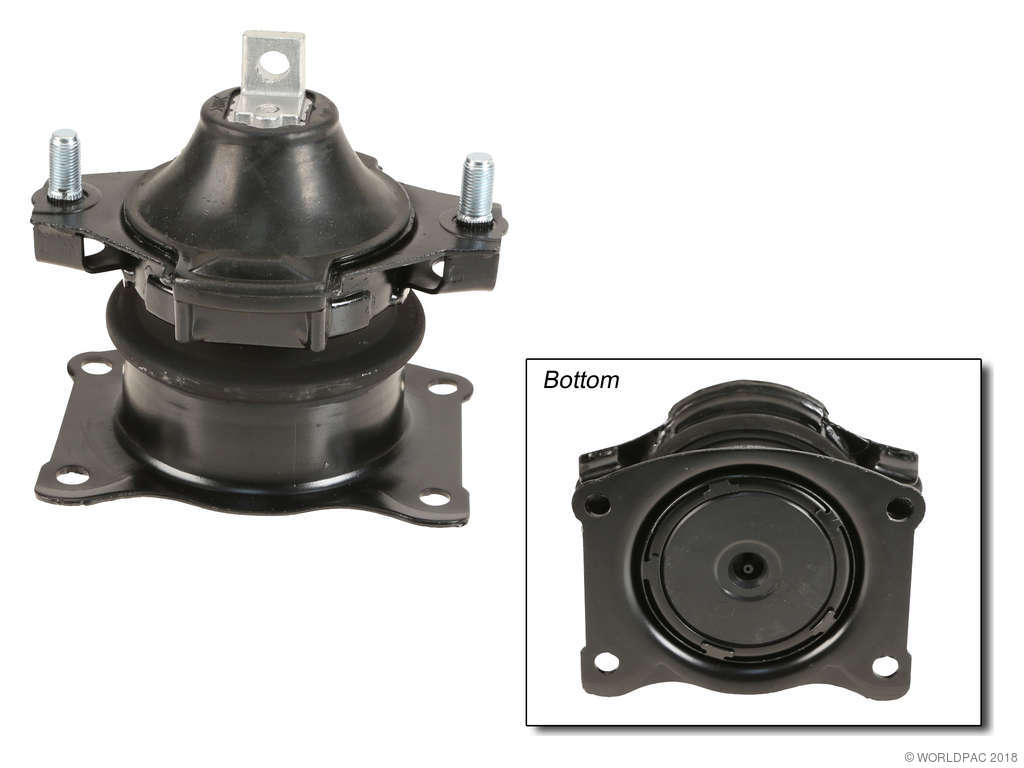 2004-2008 Acura TSX Engine Mount - Front (Genuine)