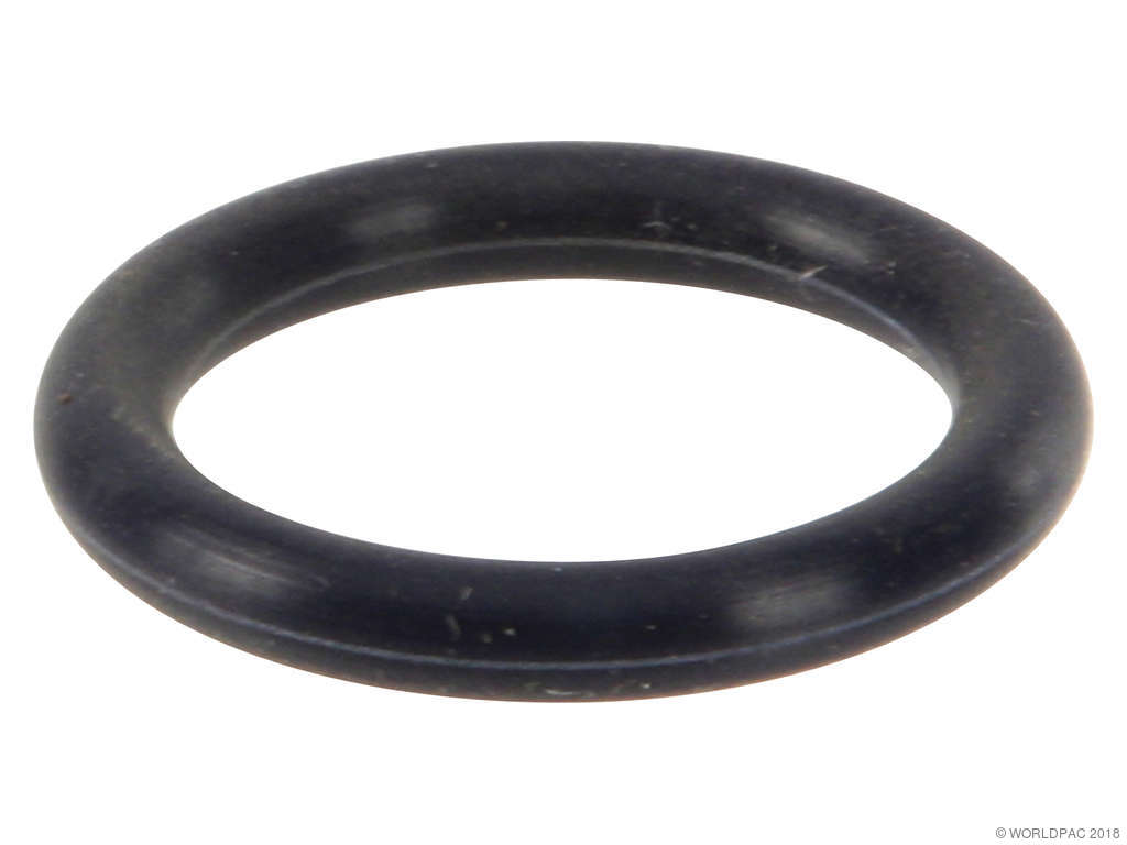 1991-2002 INFINITI G20 Fuel Injection Pressure Regulator O-Ring (Ishino Stone)