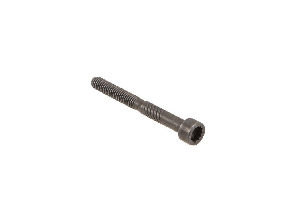 2004-2006 Volkswagen Jetta Engine Camshaft Retainer Bolt (Original Equipment)