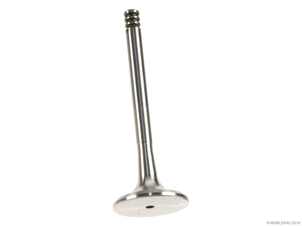 1995-1997 Audi A6 Engine Exhaust Valve (AE)