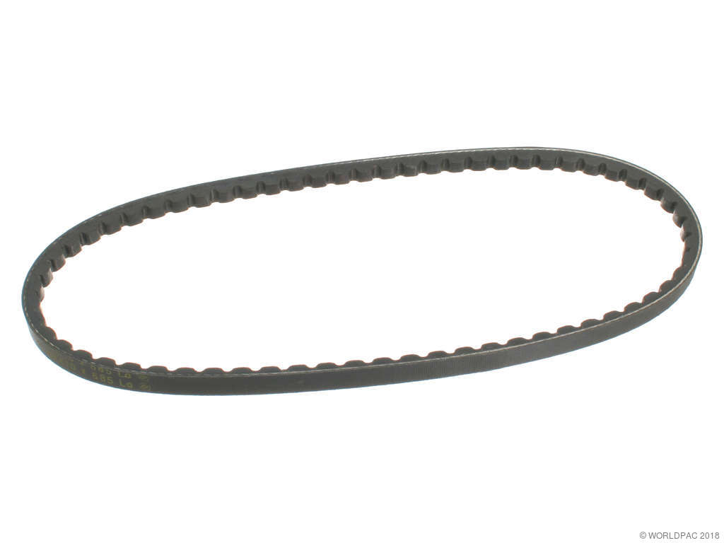 1975-1978 BMW 530i Accessory Drive Belt - Air Pump (ContiTech)