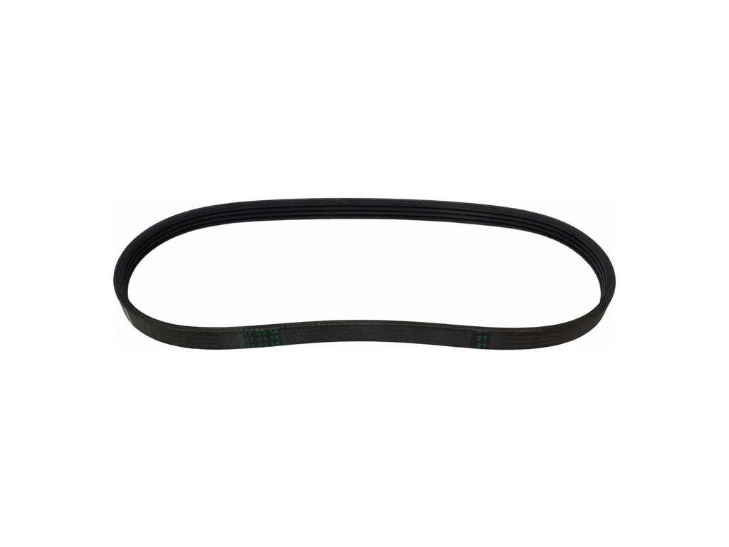 2014-2018 Ford Focus Accessory Drive Belt -  or Compressor (Motorcraft)